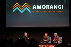 WELLINGTON, NEW ZEALAND - July 29: Amorangi Māori in Governance Summit July 29, 2026 in Wellington, New Zealand. (Photo by Mark Tantrum/ http://marktantrum.com)
