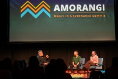 WELLINGTON, NEW ZEALAND - July 29: Amorangi Māori in Governance Summit July 29, 2026 in Wellington, New Zealand. (Photo by Mark Tantrum/ http://marktantrum.com)