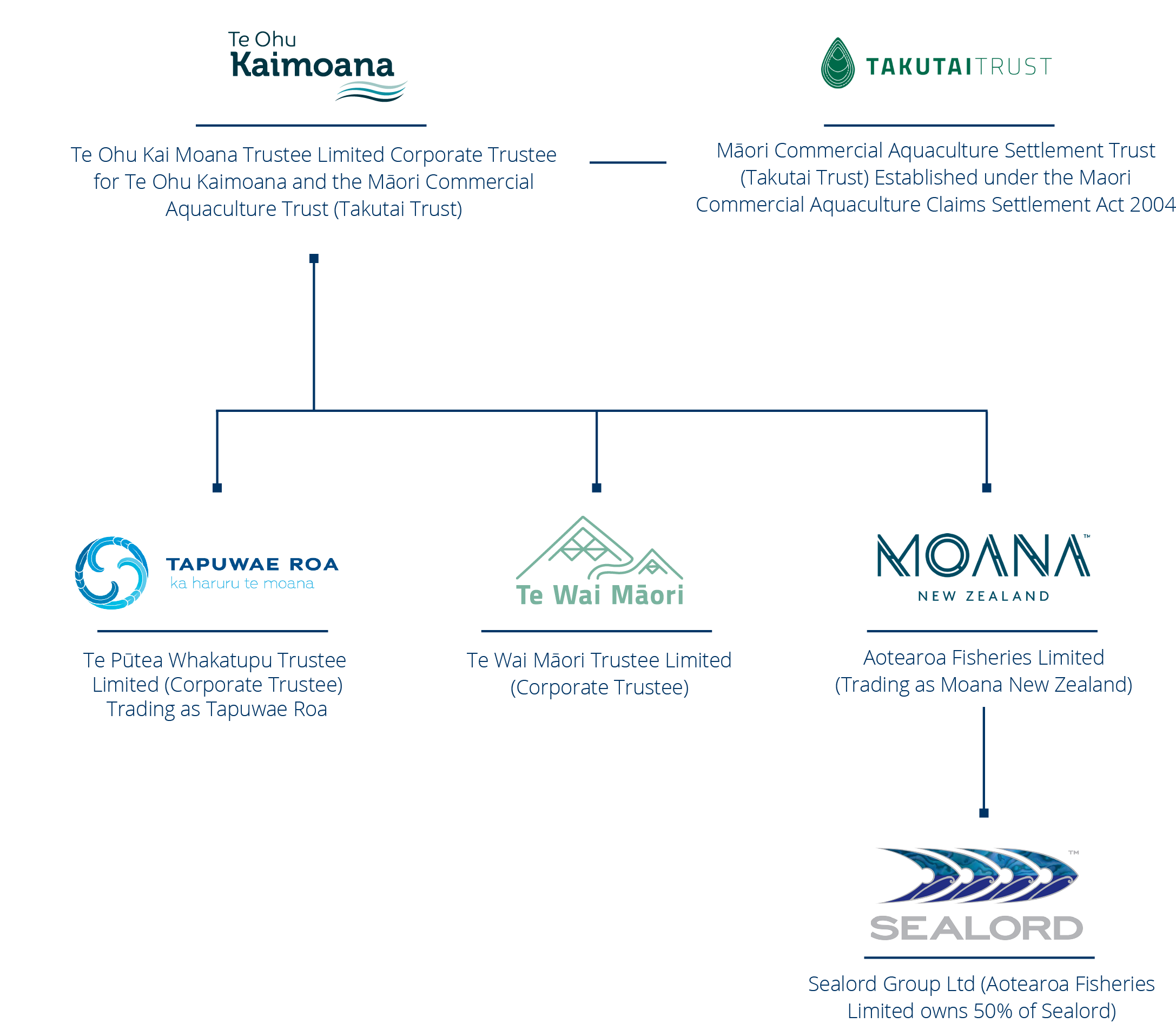 Infographic of Tapuwae Roa governance structure.