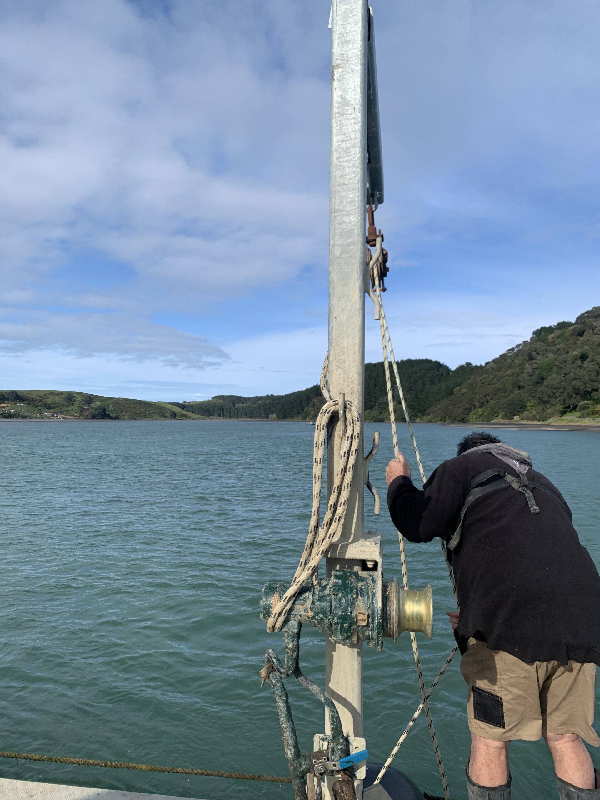 Mussel spat farming in Whangape Harbor